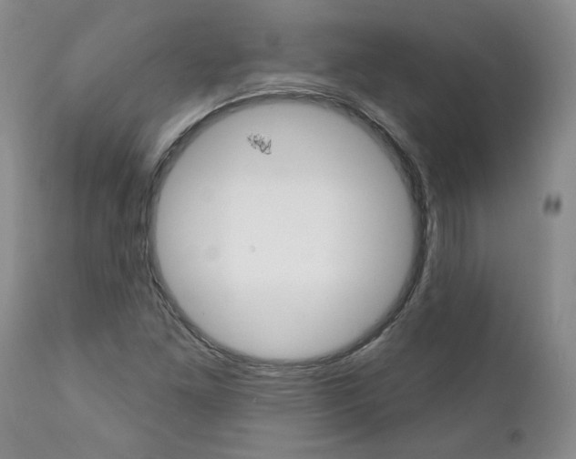 X0000112001261200908031038