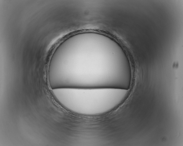 X0000112001262200908031038