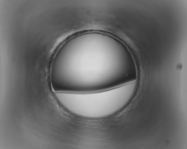 X0000112001264200908031038
