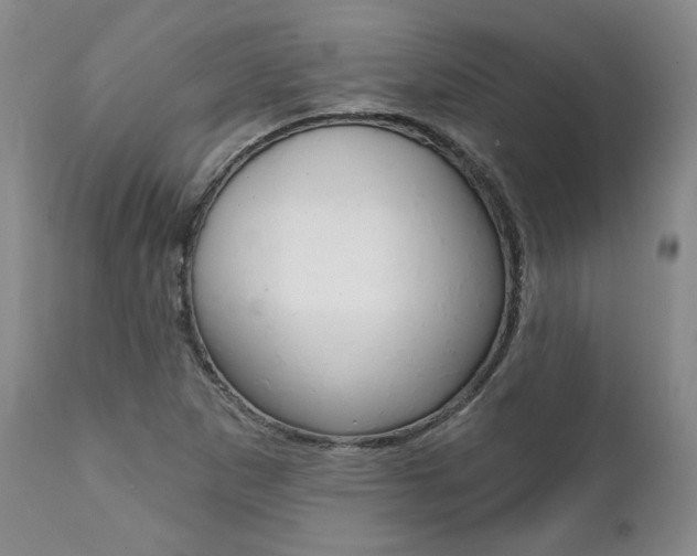 X0000112001265200908031038