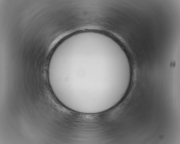 X0000112001266200908031038