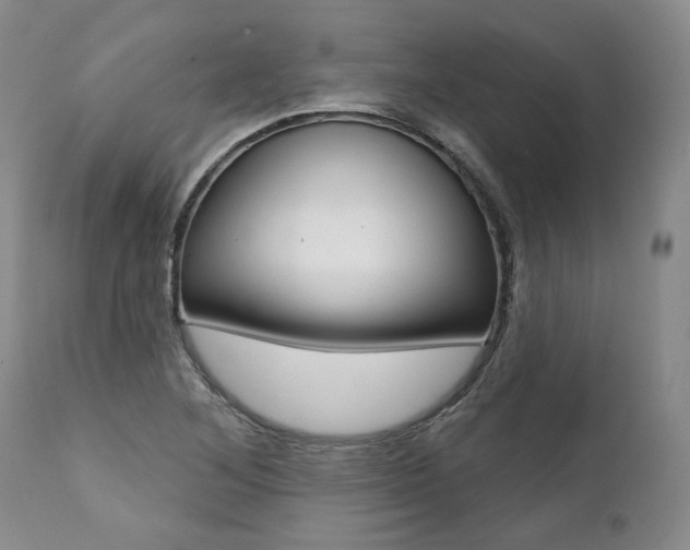 X0000112001268200908031038