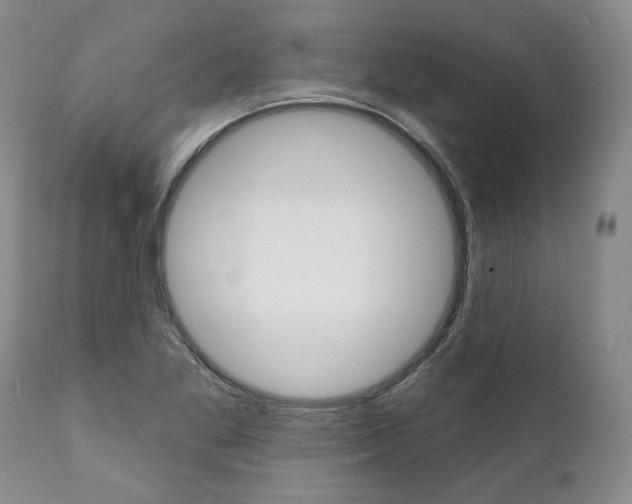 X0000112001269200908031037