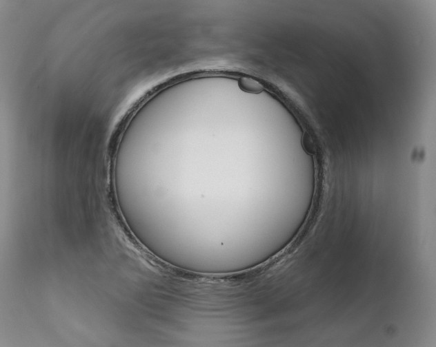 X0000112001270200908031037
