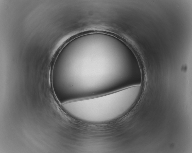 X0000112001272200908031037