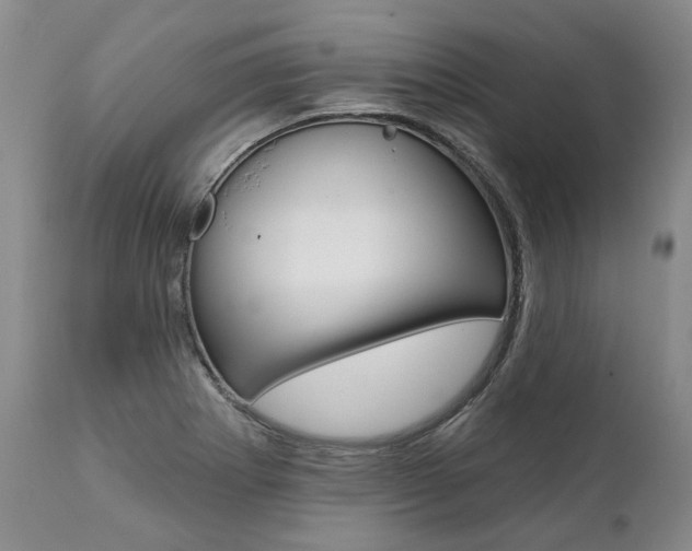 X0000112001273200908031037