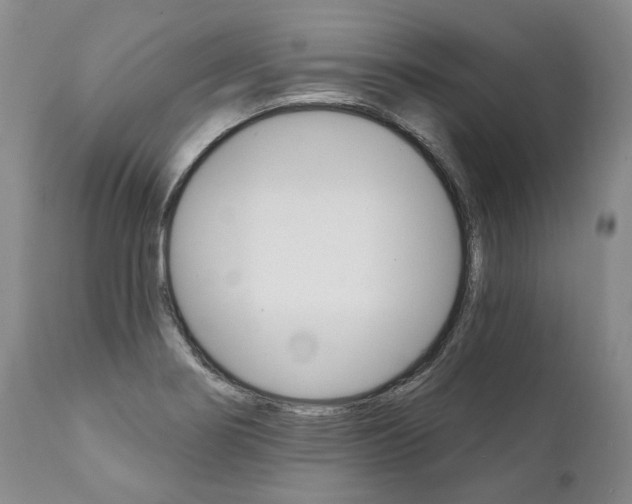 X0000112001274200908031037