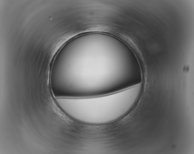 X0000112001276200908031037