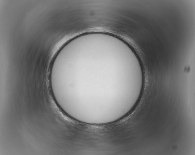 X0000112001278200908031037