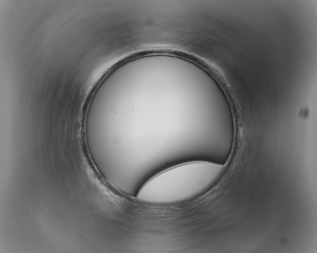 X0000112001279200908031037