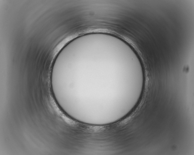 X0000112001282200908031037