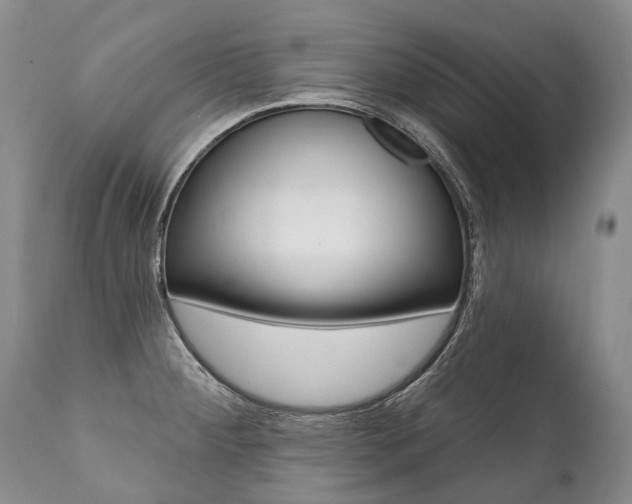 X0000112001284200908031037