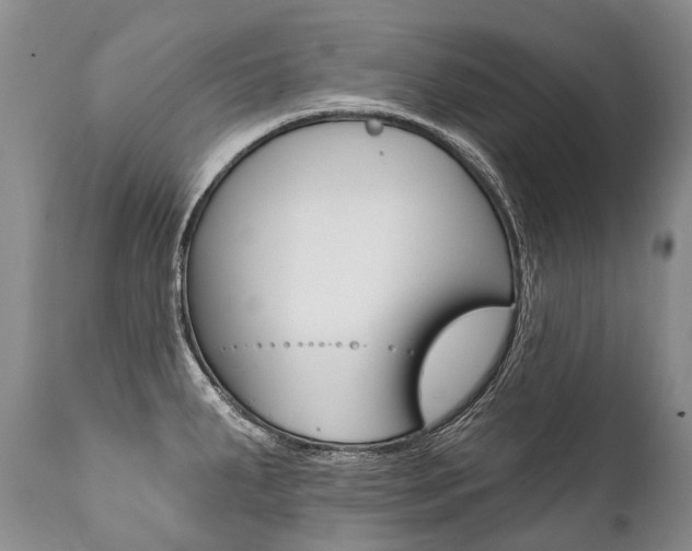 X0000112001287200908031037