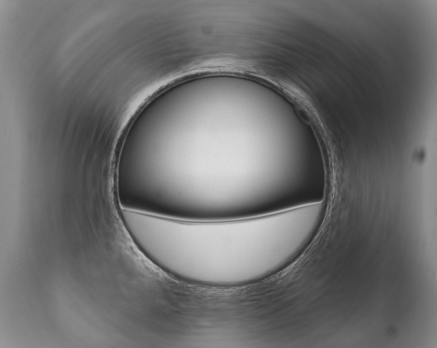 X0000112001288200908031037