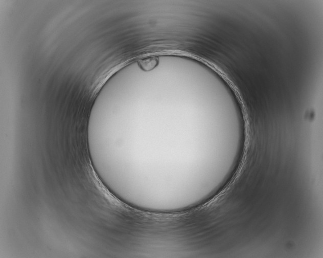 X0000112001289200908031037