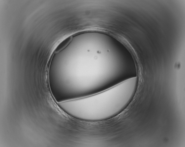 X0000112001292200908031037
