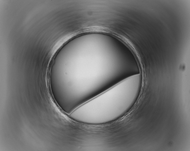 X0000112001293200908031037