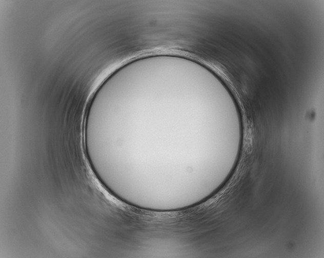 X0000112001294200908031037