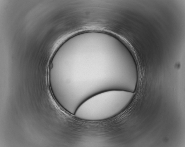 X0000112001295200908031037