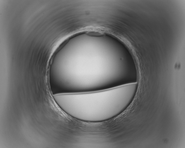 X0000112001296200908031037