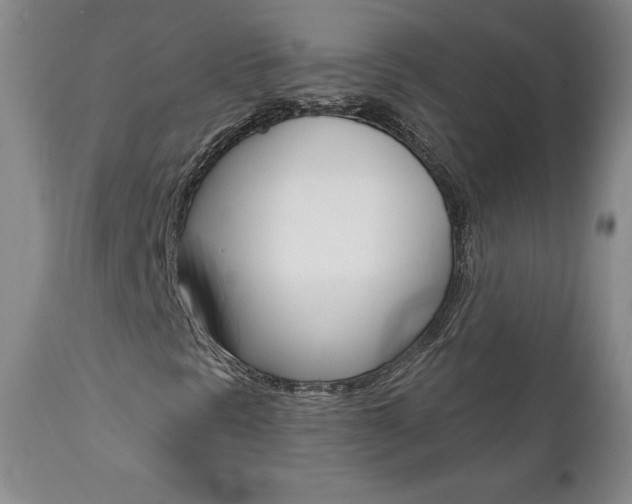 X0000112001297200908031036