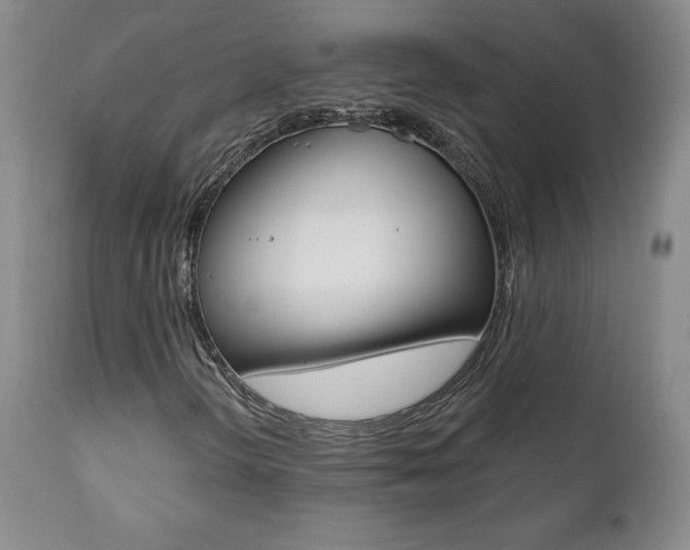 X0000112001298200908031036
