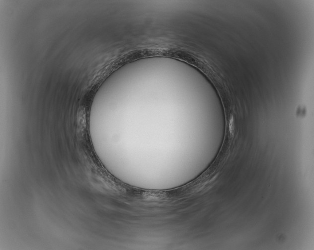 X0000112001299200908031036