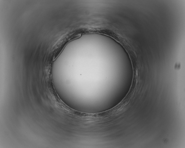 X0000112001300200908031036