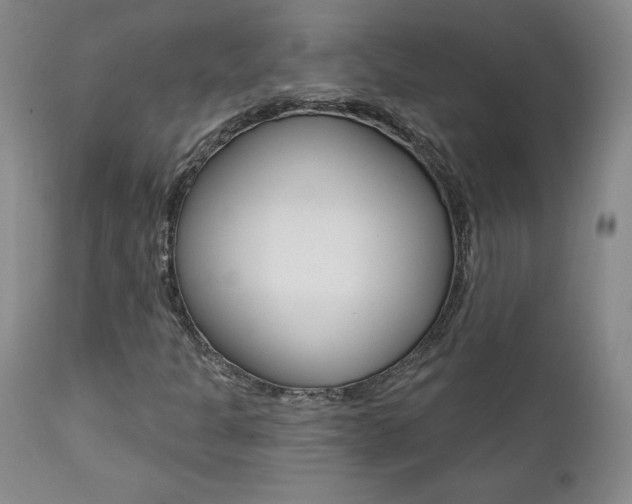 X0000112001301200908031036