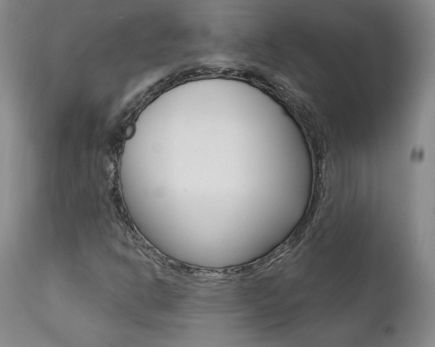 X0000112001302200908031036