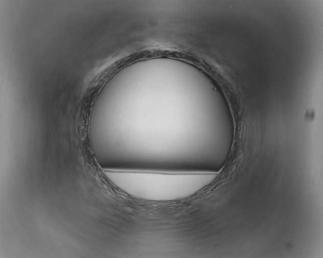 X0000112001303200908031036