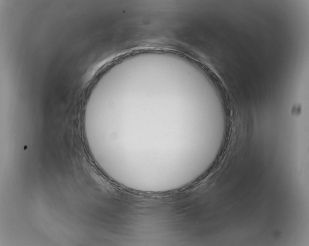 X0000112001304200908031036