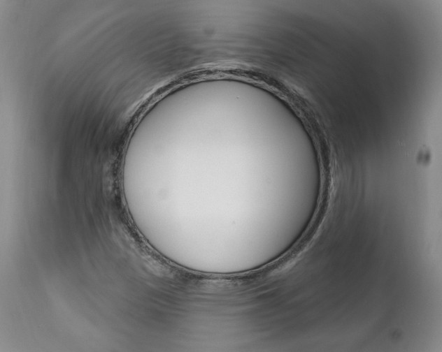 X0000112001305200908031036
