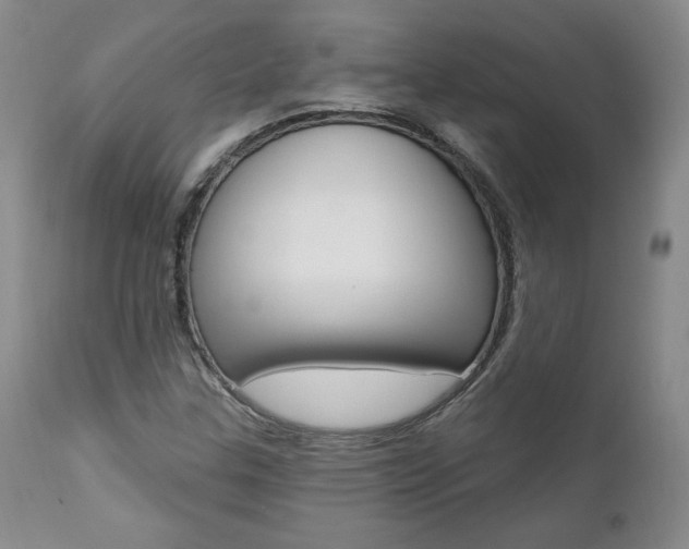 X0000112001307200908031036
