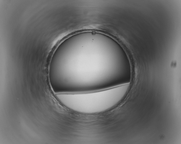 X0000112001308200908031036