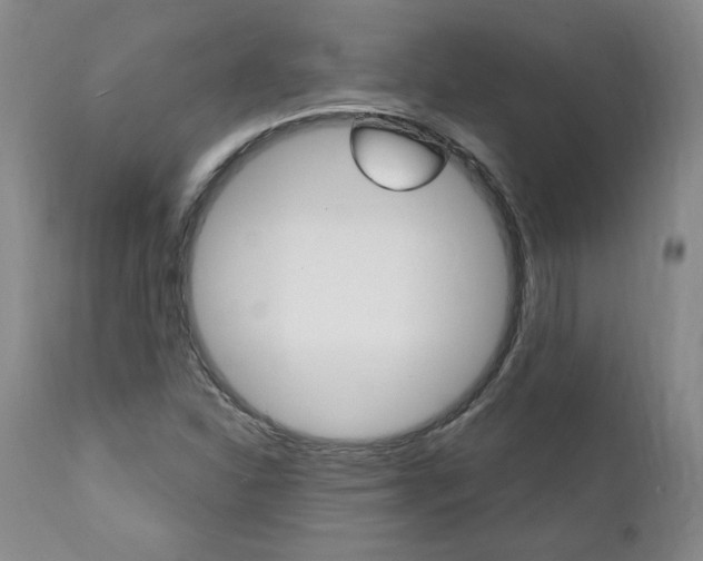 X0000112001310200908031037