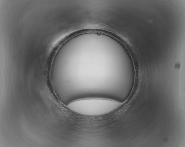 X0000112001311200908031037