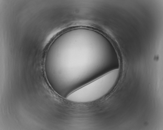 X0000112001312200908031037