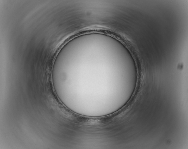X0000112001313200908031037