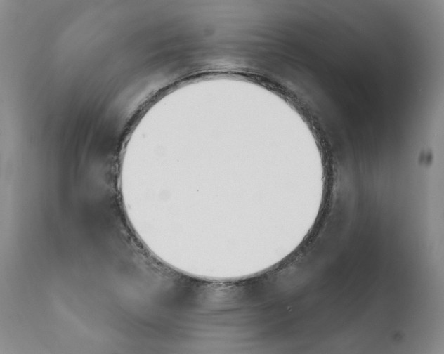 X0000112001314200908031037