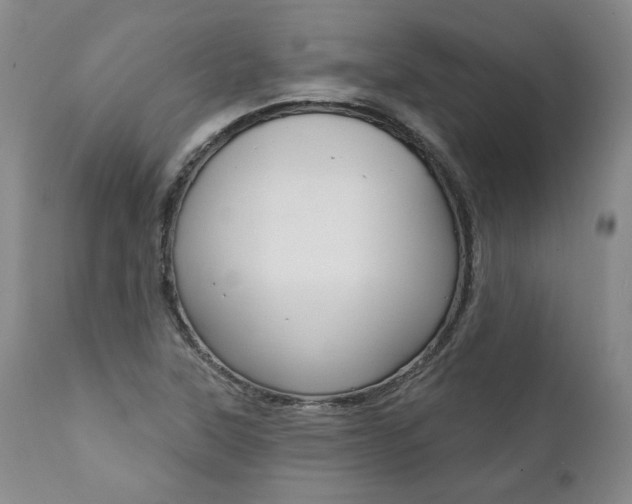 X0000112001315200908031037