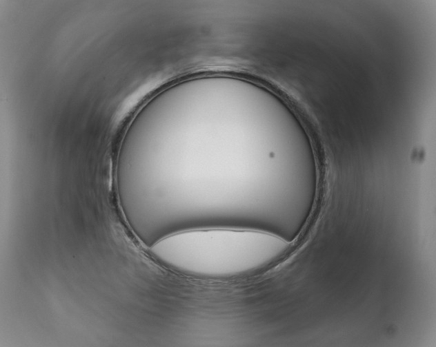 X0000112001317200908031037
