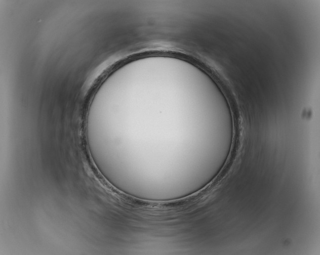 X0000112001318200908031037