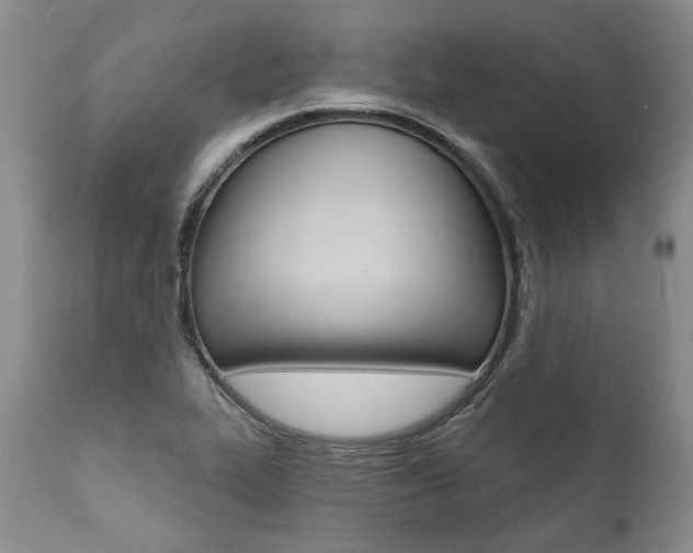 X0000112001319200908031037