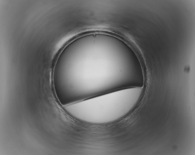 X0000112001320200908031037
