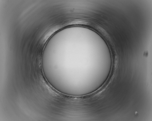 X0000112001321200908031037