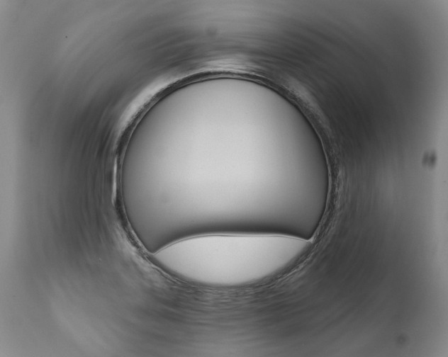 X0000112001323200908031037