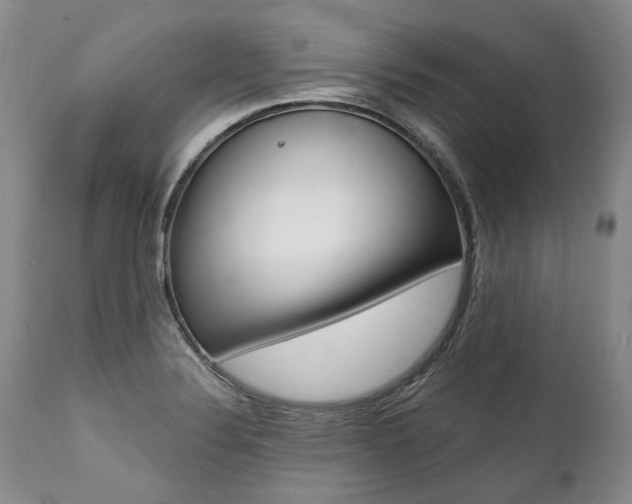 X0000112001324200908031037