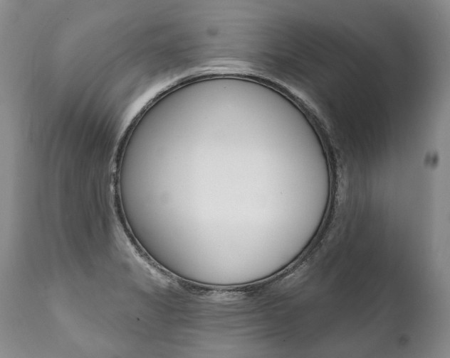 X0000112001325200908031037