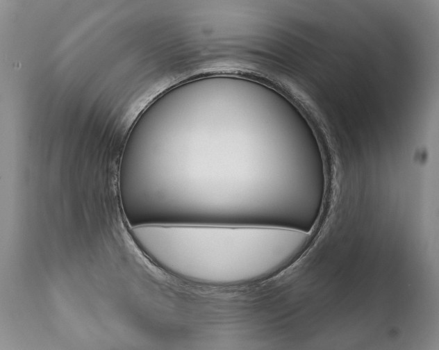 X0000112001329200908031037